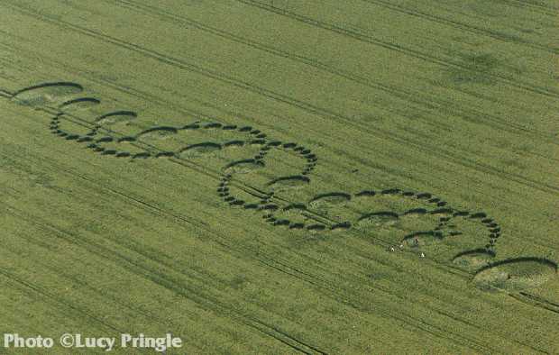 Crop Circle #6